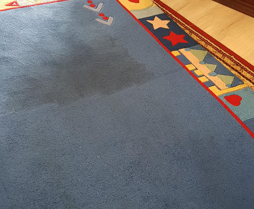 Rug Steam Cleaning